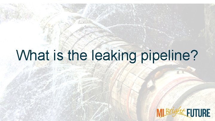 What is the leaking pipeline? 