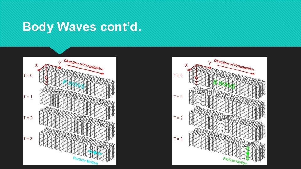 Body Waves cont’d. 