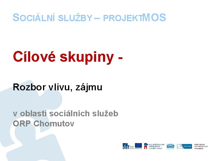 SOCIÁLNÍ SLUŽBY – PROJEKTMOS Cílové skupiny Rozbor vlivu, zájmu v oblasti sociálních služeb ORP