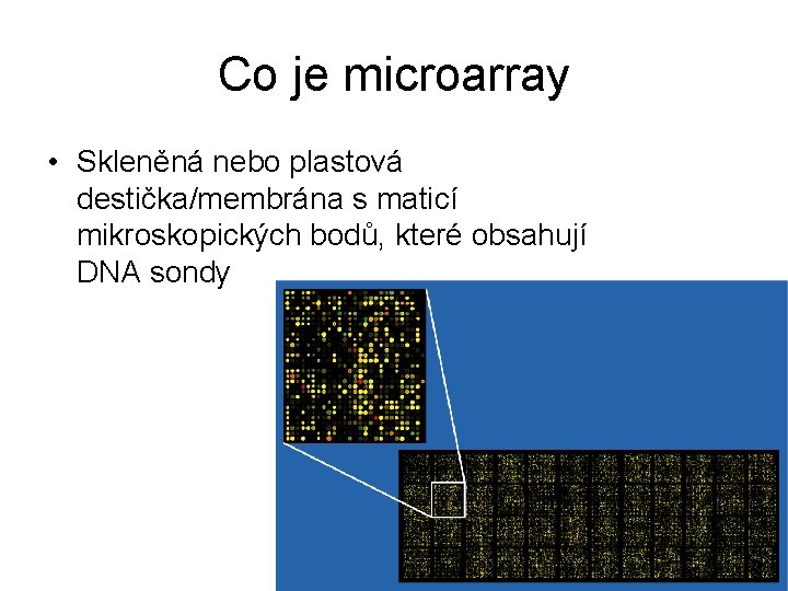 Co je microarray • Skleněná nebo plastová destička/membrána s maticí mikroskopických bodů, které obsahují