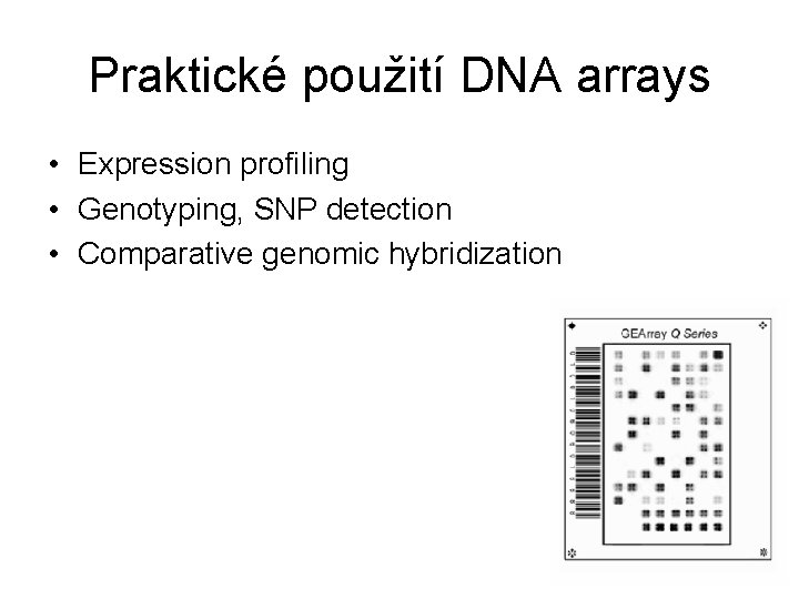 Praktické použití DNA arrays • Expression profiling • Genotyping, SNP detection • Comparative genomic