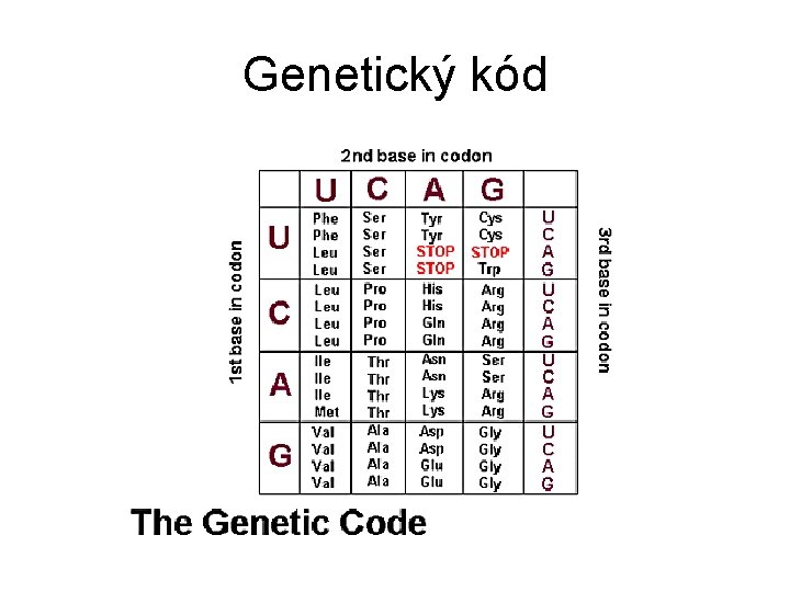 Genetický kód 