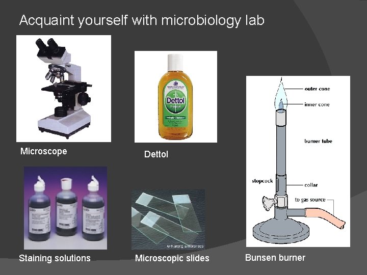 Acquaint yourself with microbiology lab Microscope Staining solutions Dettol Microscopic slides Bunsen burner 