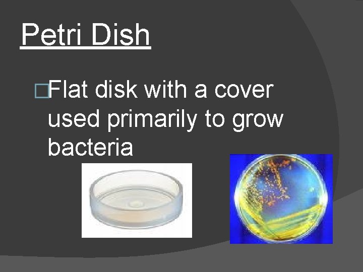 Petri Dish �Flat disk with a cover used primarily to grow bacteria 