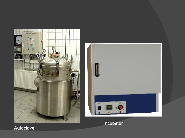 Autoclave Incubator 