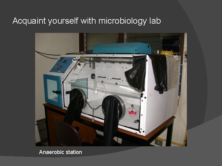 Acquaint yourself with microbiology lab Anaerobic station 