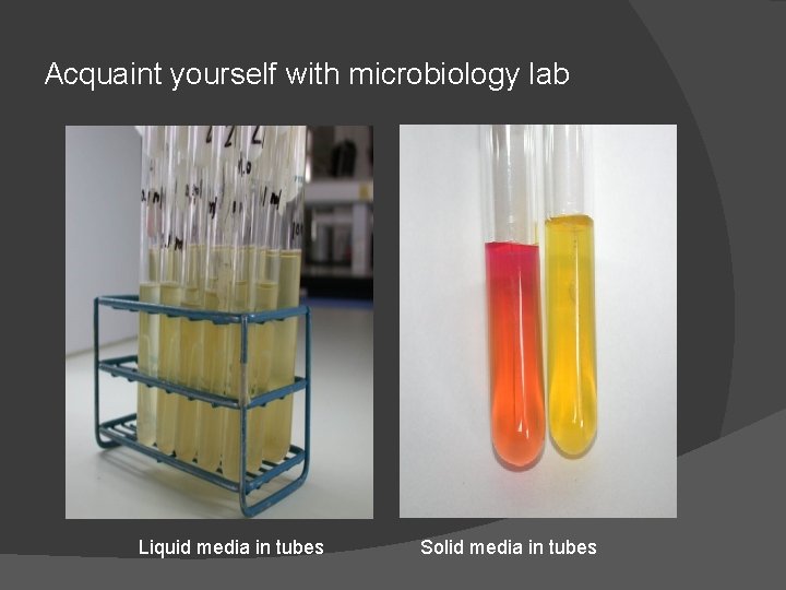 Acquaint yourself with microbiology lab Liquid media in tubes Solid media in tubes 