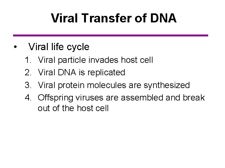 Viral Transfer of DNA • Viral life cycle 1. 2. 3. 4. Viral particle