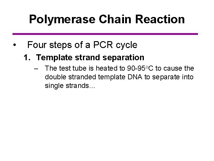Polymerase Chain Reaction • Four steps of a PCR cycle 1. Template strand separation