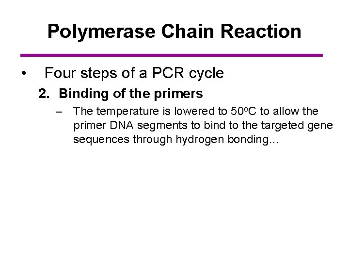 Polymerase Chain Reaction • Four steps of a PCR cycle 2. Binding of the
