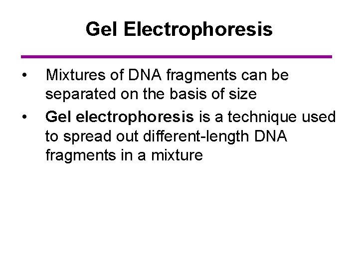 Gel Electrophoresis • • Mixtures of DNA fragments can be separated on the basis