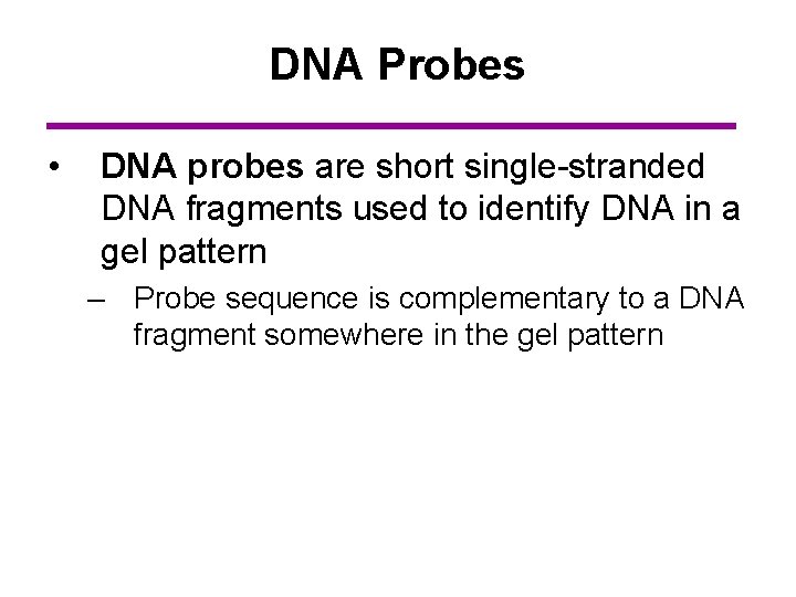 DNA Probes • DNA probes are short single-stranded DNA fragments used to identify DNA