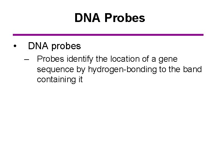 DNA Probes • DNA probes – Probes identify the location of a gene sequence