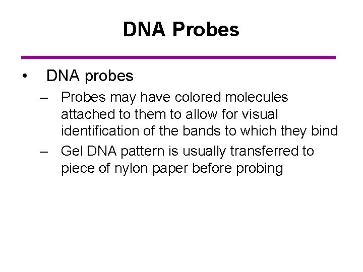 DNA Probes • DNA probes – Probes may have colored molecules attached to them