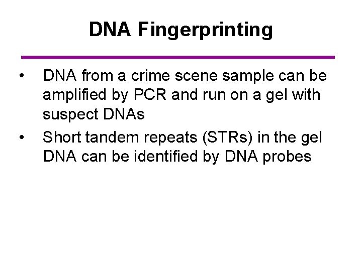 DNA Fingerprinting • • DNA from a crime scene sample can be amplified by