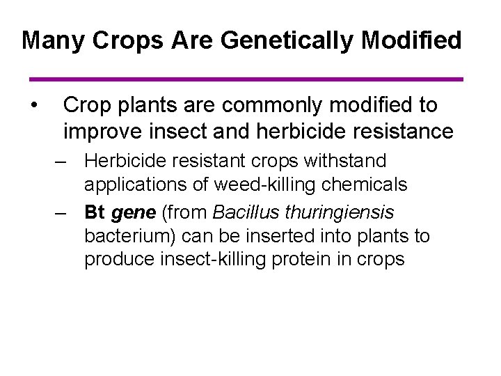 Many Crops Are Genetically Modified • Crop plants are commonly modified to improve insect