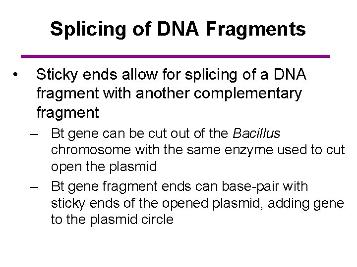 Splicing of DNA Fragments • Sticky ends allow for splicing of a DNA fragment