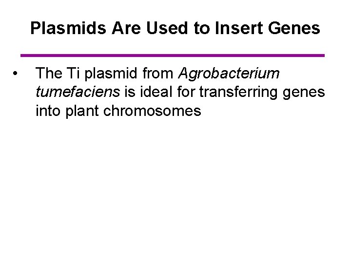 Plasmids Are Used to Insert Genes • The Ti plasmid from Agrobacterium tumefaciens is