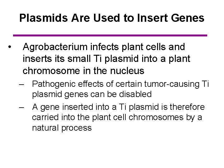 Plasmids Are Used to Insert Genes • Agrobacterium infects plant cells and inserts its