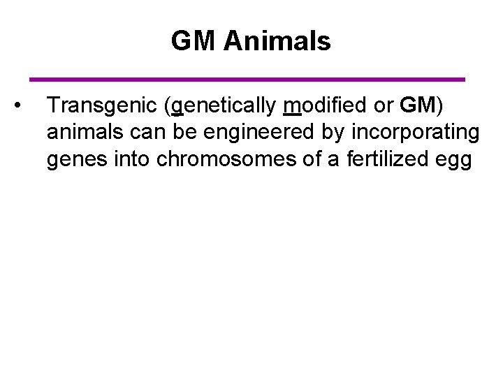 GM Animals • Transgenic (genetically modified or GM) animals can be engineered by incorporating
