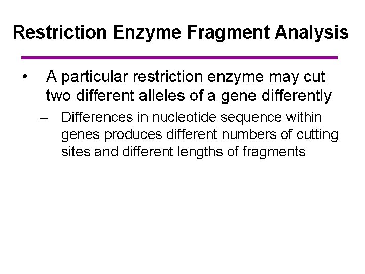 Restriction Enzyme Fragment Analysis • A particular restriction enzyme may cut two different alleles