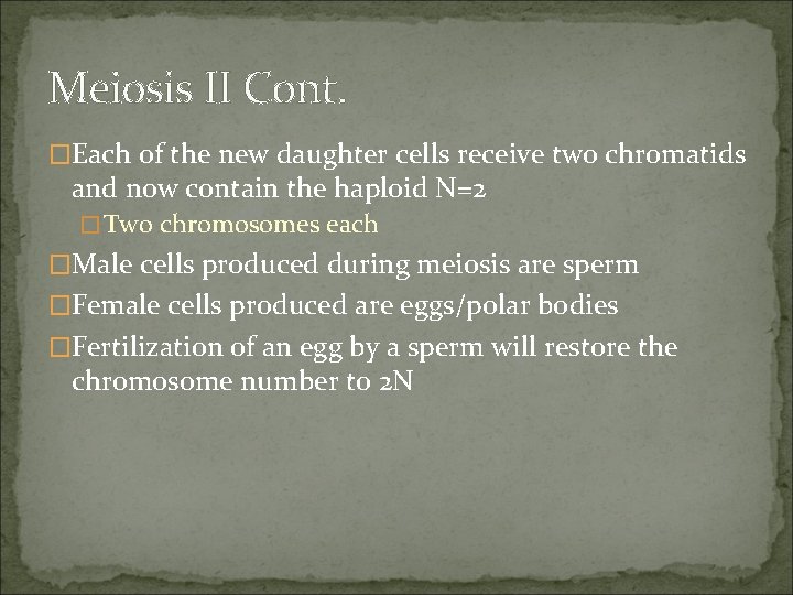 Meiosis II Cont. �Each of the new daughter cells receive two chromatids and now