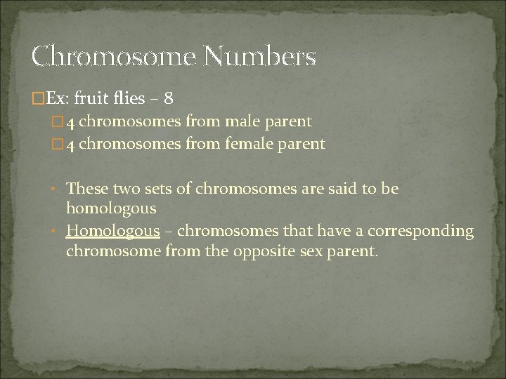 Chromosome Numbers �Ex: fruit flies – 8 � 4 chromosomes from male parent �