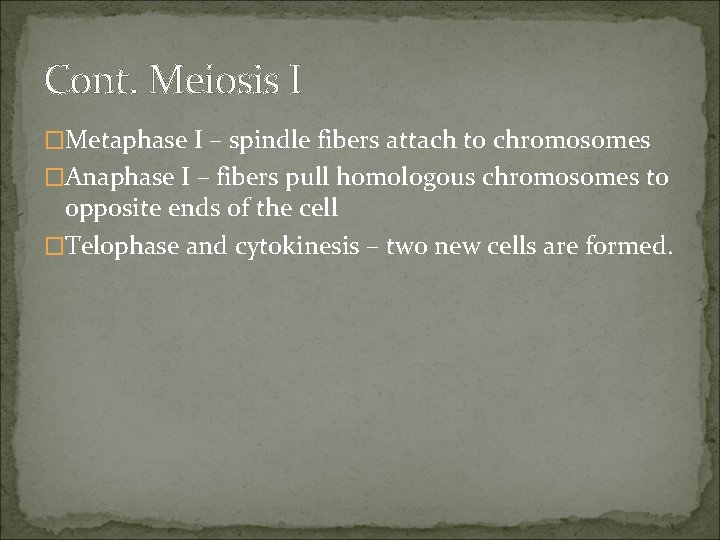 Cont. Meiosis I �Metaphase I – spindle fibers attach to chromosomes �Anaphase I –