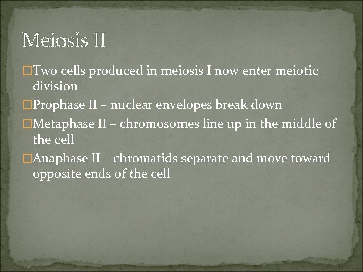 Meiosis II �Two cells produced in meiosis I now enter meiotic division �Prophase II