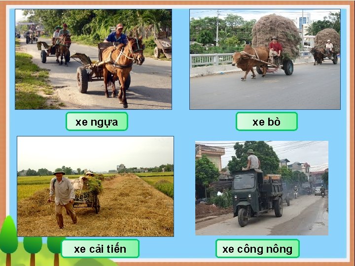 xe ngựa xe cải tiến xe bò xe công nông 