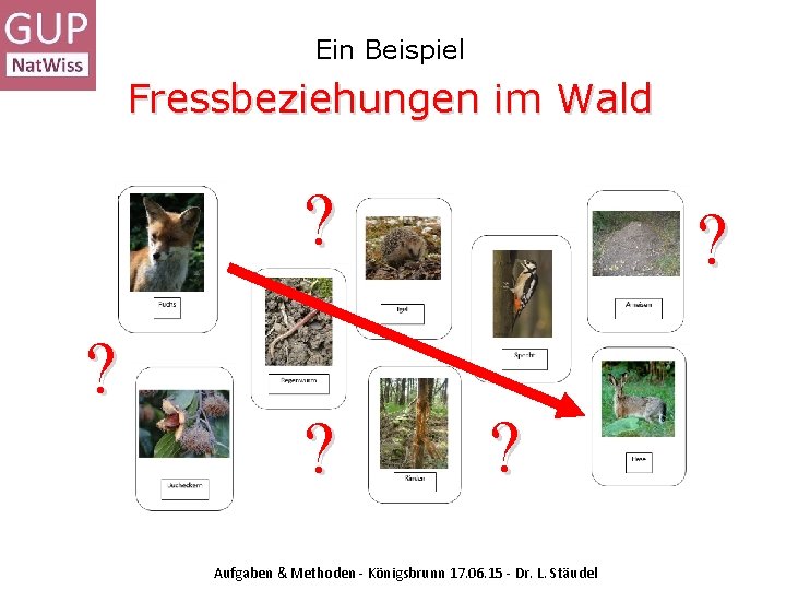 Ein Beispiel Fressbeziehungen im Wald ? ? ? ? ? Aufgaben & Methoden -