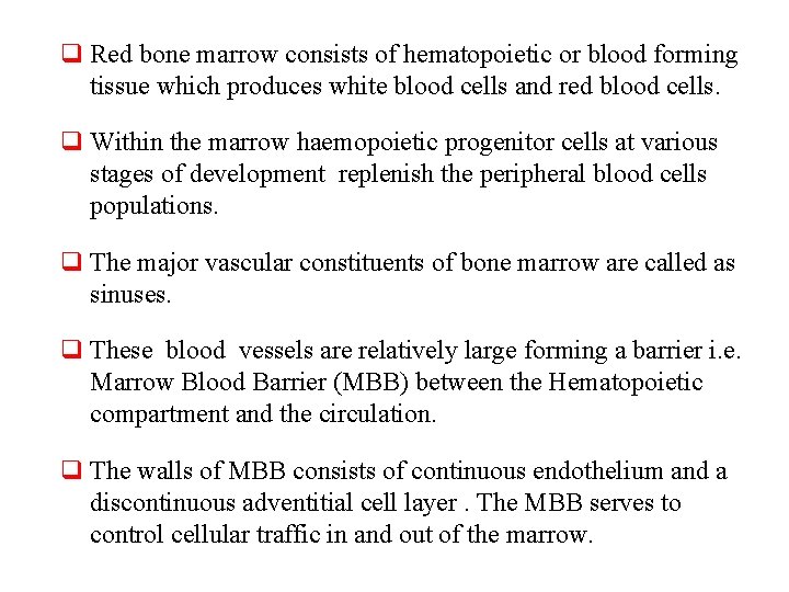 q Red bone marrow consists of hematopoietic or blood forming tissue which produces white