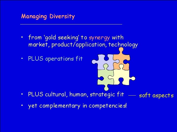 Managing Diversity • from ‘gold seeking’ to synergy with market, product/application, technology • PLUS