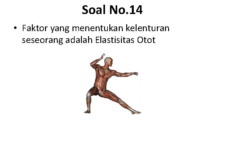 Soal No. 14 • Faktor yang menentukan kelenturan seseorang adalah Elastisitas Otot 