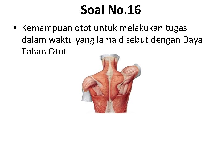 Soal No. 16 • Kemampuan otot untuk melakukan tugas dalam waktu yang lama disebut