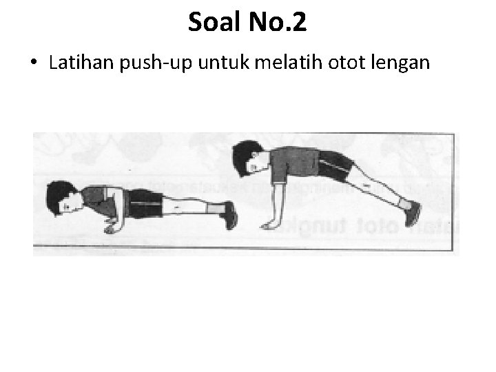 Soal No. 2 • Latihan push-up untuk melatih otot lengan 