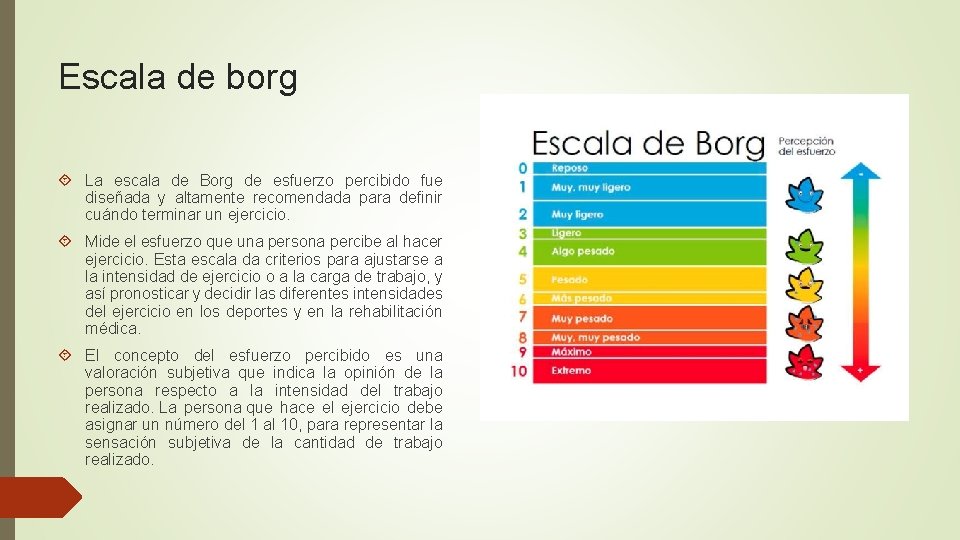 Escala de borg La escala de Borg de esfuerzo percibido fue diseñada y altamente