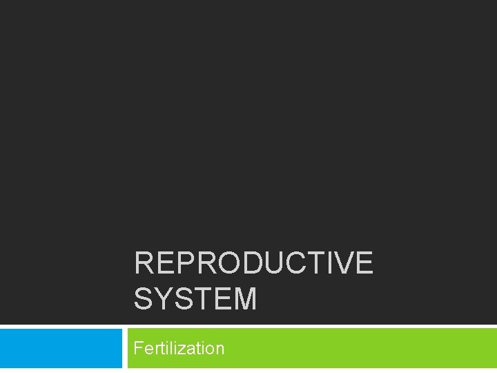 REPRODUCTIVE SYSTEM Fertilization 