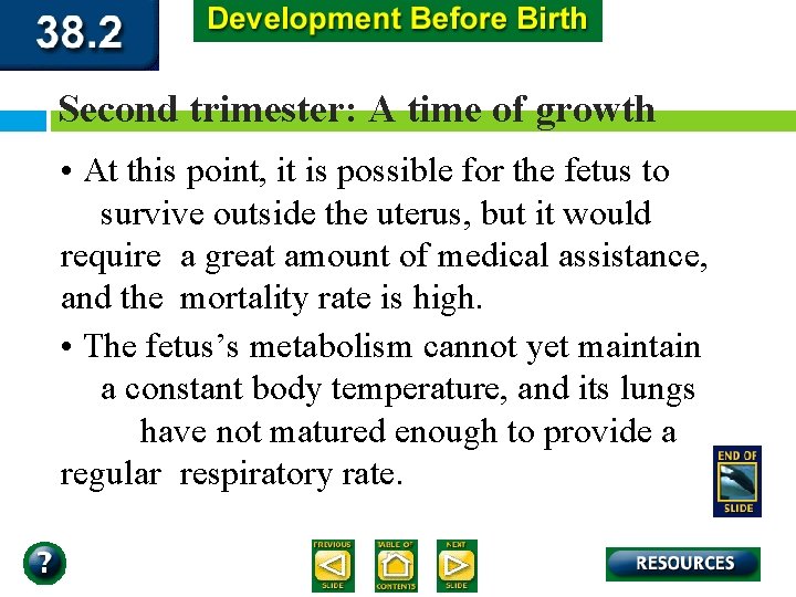Second trimester: A time of growth • At this point, it is possible for