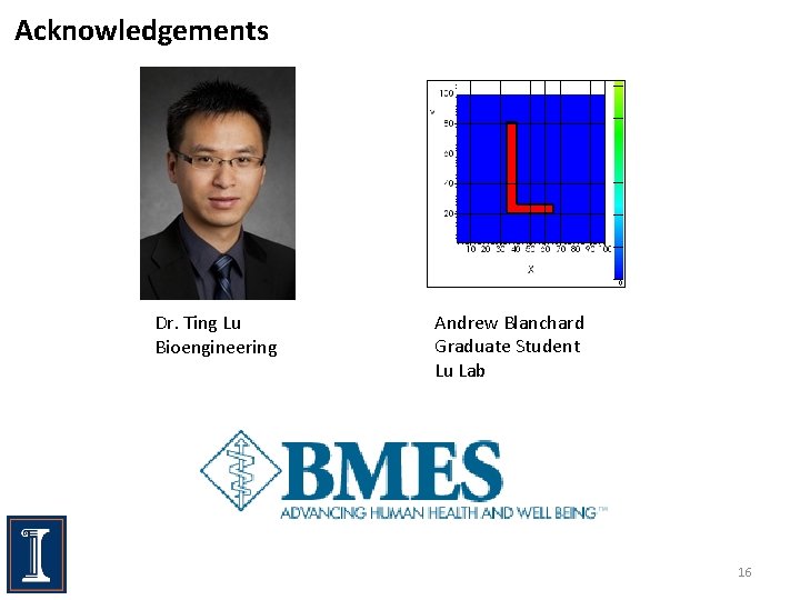 Acknowledgements Dr. Ting Lu Bioengineering Andrew Blanchard Graduate Student Lu Lab 16 