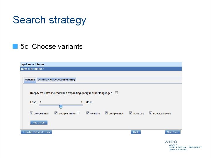Search strategy 5 c. Choose variants 