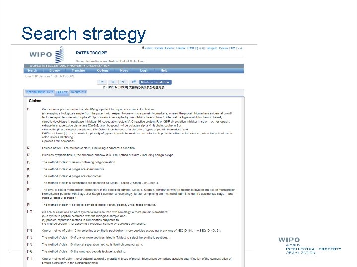 Search strategy 