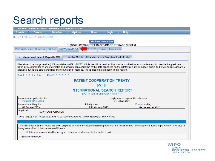 Search reports 