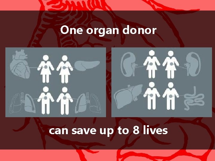 One organ donor can save up to 8 lives 