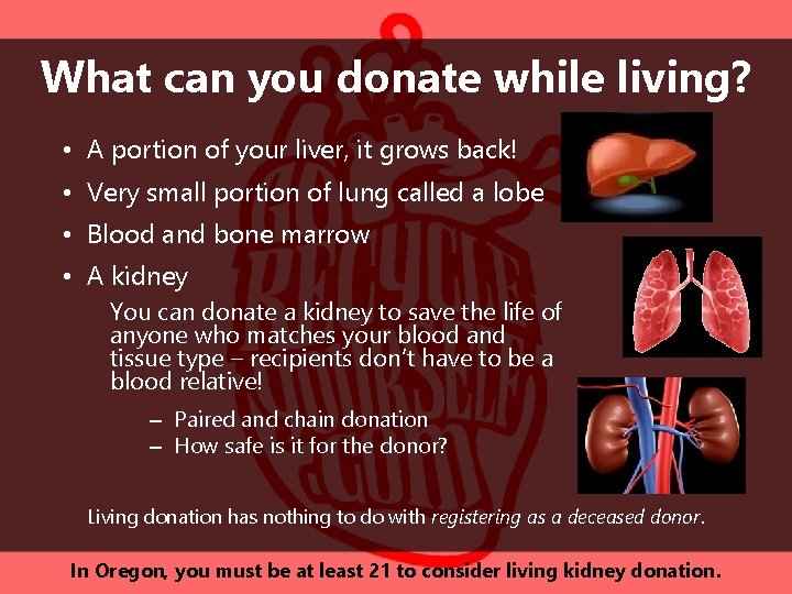 What can you donate while living? • A portion of your liver, it grows