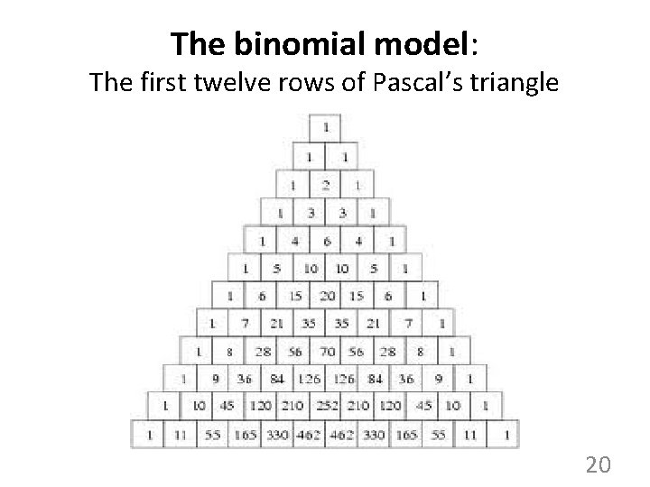 The binomial model: The first twelve rows of Pascal’s triangle 20 The binomial model: The first twelve rows of Pascal’s triangle 20