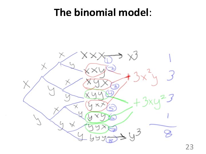 The binomial model: 23 The binomial model: 23