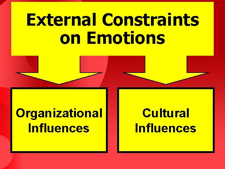 External Constraints on Emotions Organizational Influences Cultural Influences 