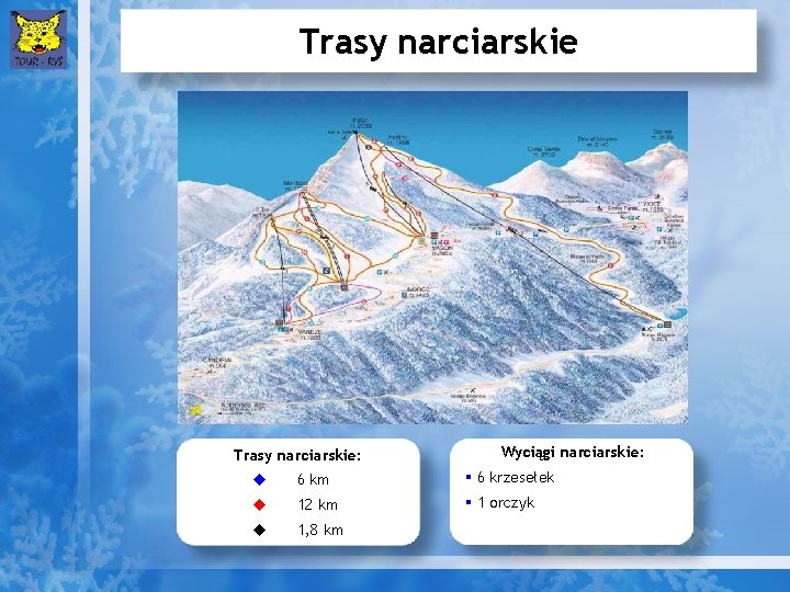 Trasy narciarskie: Wyciągi narciarskie: u 6 km § 6 krzesełek u 12 km §