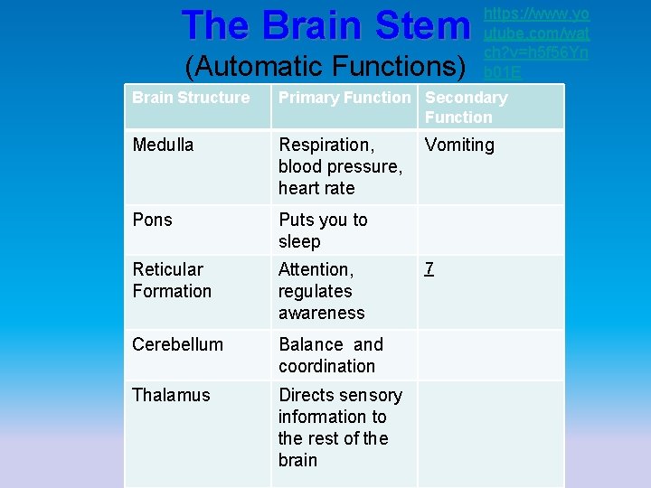 The Brain Stem (Automatic Functions) https: //www. yo utube. com/wat ch? v=h 5 f